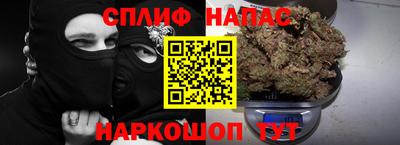 сатива Нальчик