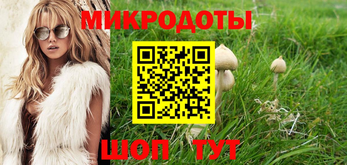 Псилоцибиновые грибы GOLDEN TEACHER Сызрань